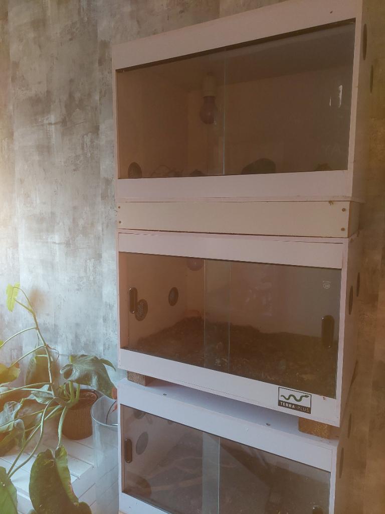 4x terrarium 40 40 60, Dieren en Toebehoren, Ophalen, Zo goed als nieuw, Terrarium of Paludarium
