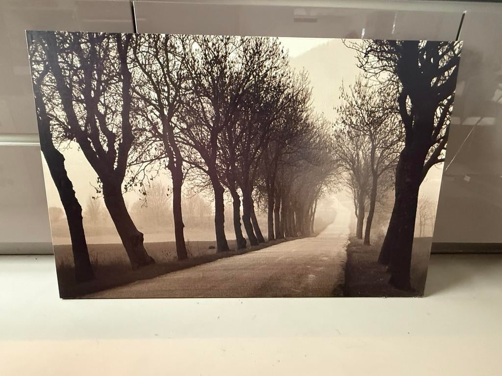 IKEA PJÄTTERYD Canvas: Mysterieuze Bomenlaan (78x118 cm), Ophalen, Gebruikt, Print, 100 tot 125 cm