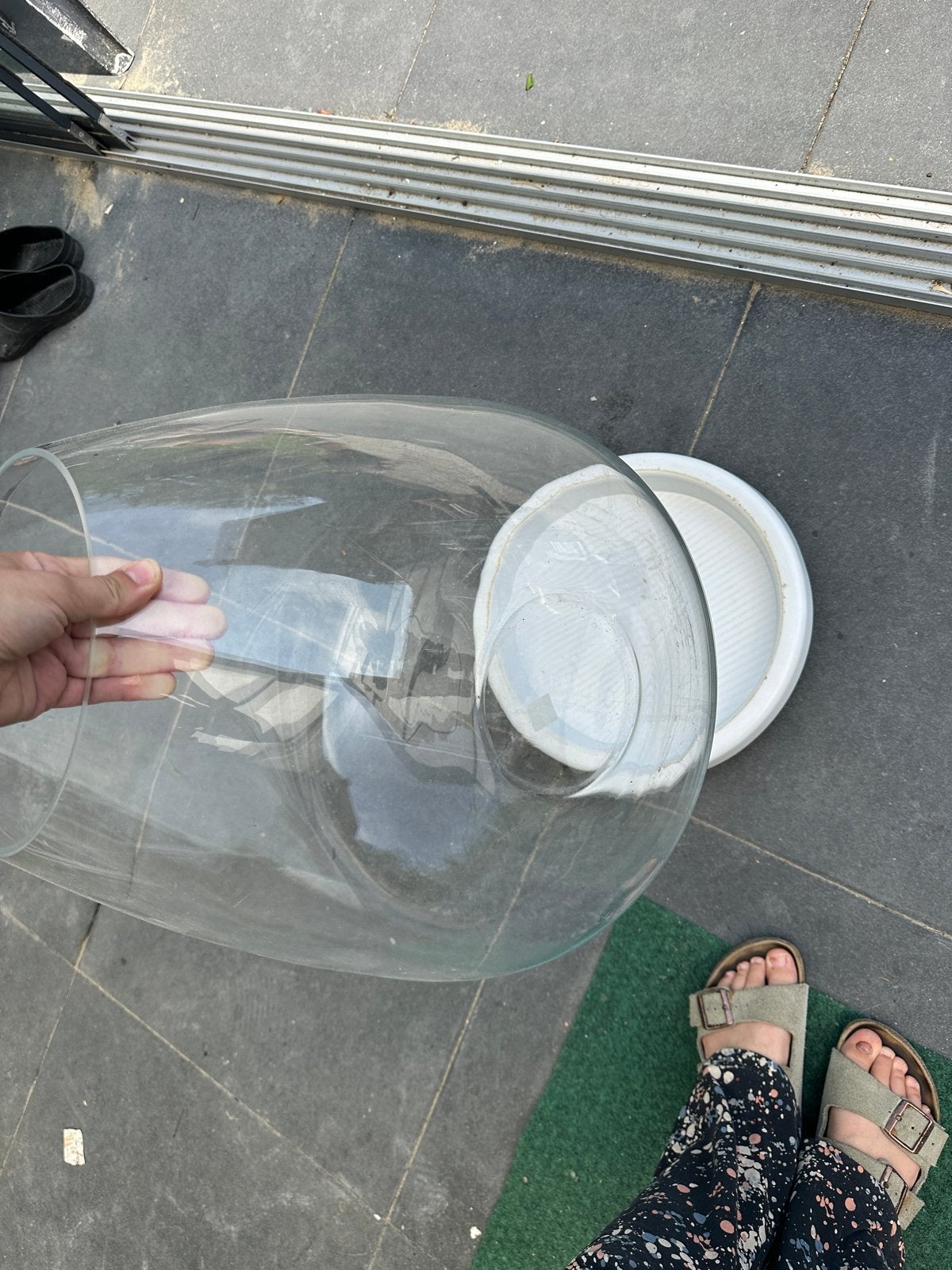 Grote glazen vaas/terrarium met witte voet, Ophalen, Transparant, Glas, Gebruikt