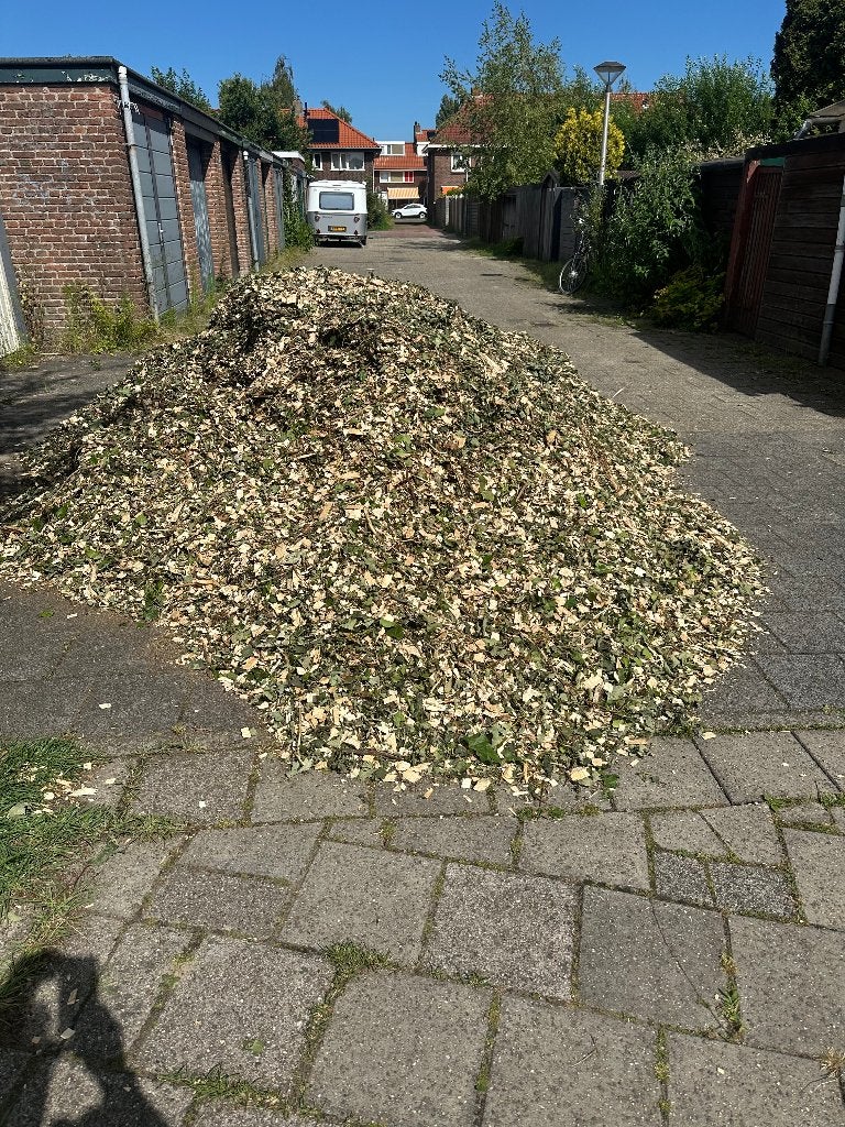 Gratis eiken houtsnippers, Tuin en Terras, Ophalen, Boomschors