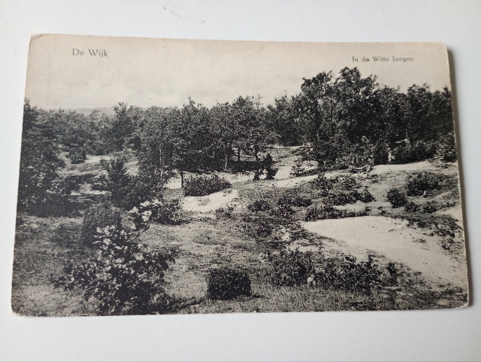 De Wijk bij Meppel In de Witte Bergen, Ophalen of Verzenden, Voor 1920, Ongelopen, Drenthe