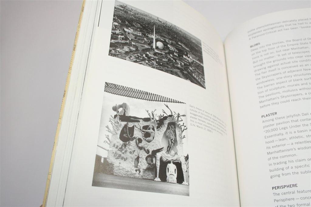 Delirious New York — Koolhaas\' Manifest voor Manhattan, Boeken, Ophalen of Verzenden, Zo goed als nieuw, Architecten