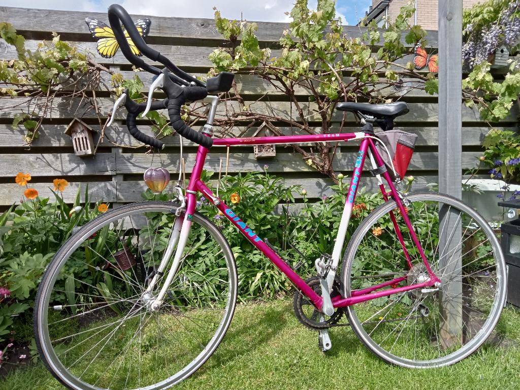 Giant Team vintage racefiets - 28 inch ca 60 framehoogte, Gebruikt, 57 tot 61 cm, Ophalen, Overige merken