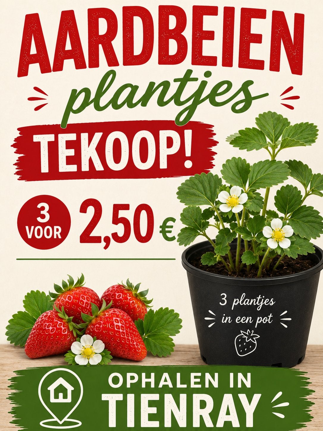Aardbeien plantjes, Tuin en Terras, Ophalen, Volle zon, Vaste plant, Fruitplanten