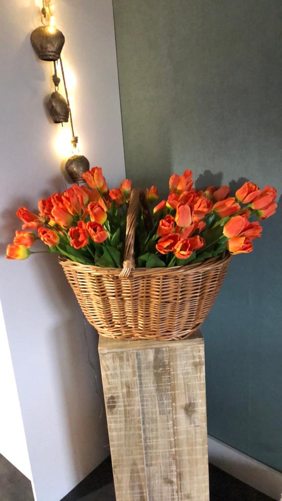Tulpen, Ophalen of Verzenden, Zo goed als nieuw
