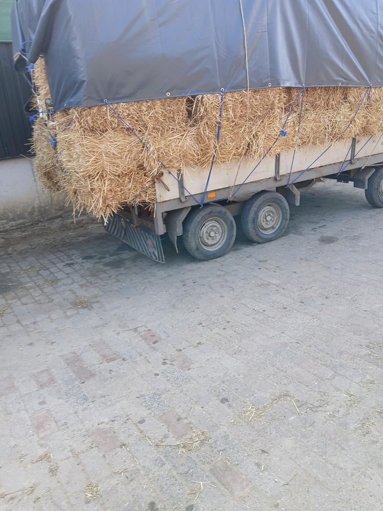 Pakken stro, Dieren en Toebehoren, Dierenvoeding, Ophalen of Verzenden