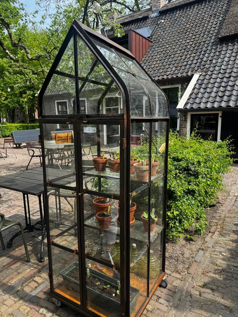 Vintage jaren '30 stijl druivenkas kas greenhouse op wielen, Tuin en Terras, Kweekkas, Zo goed als nieuw, Ophalen, Staal