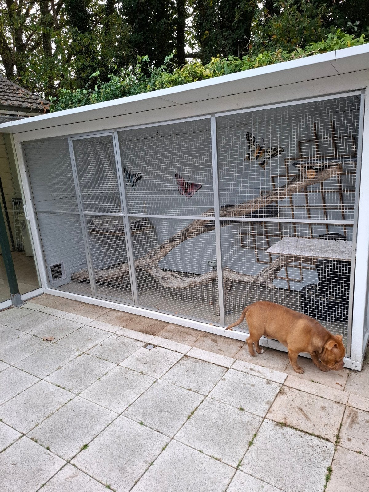 katten ren of vogel volière, Ophalen, Aluminium, Volière