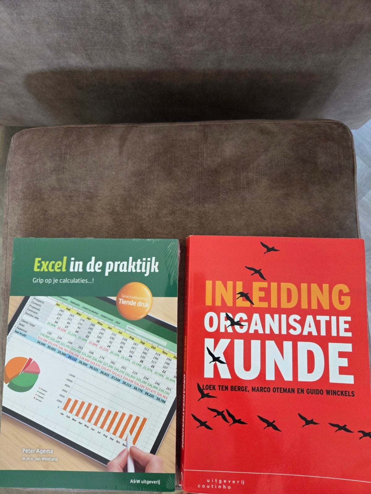 HBO Accountancy Boeken, Ophalen of Verzenden