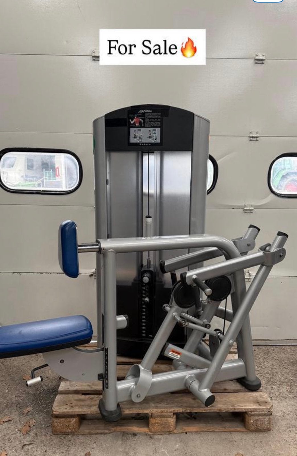 Life Fitness Back extension / Ruckenstrecker / backextension, Sport en Fitness, Fitnessmaterialen, Ophalen, Benen, Gebruikt, -