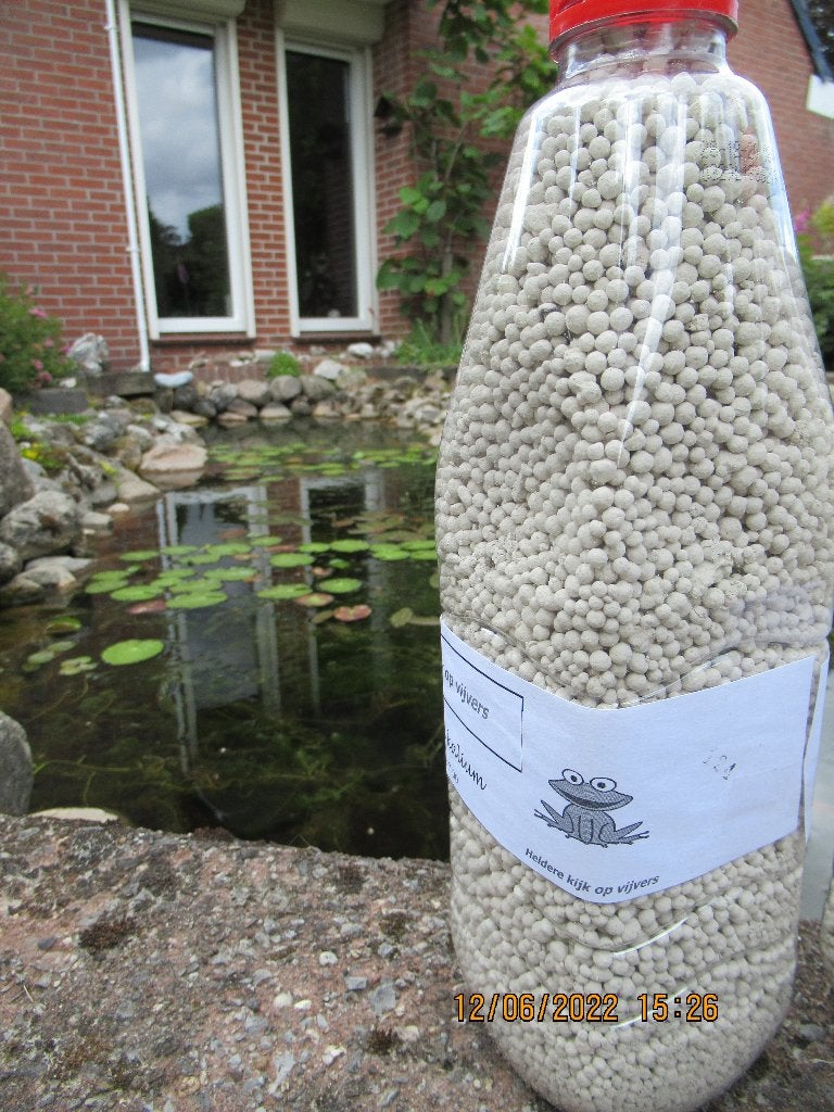 zuurstofplanten in gratis 12 liter emmer, Tuin en Terras, Vijvers, Ophalen, Nieuw