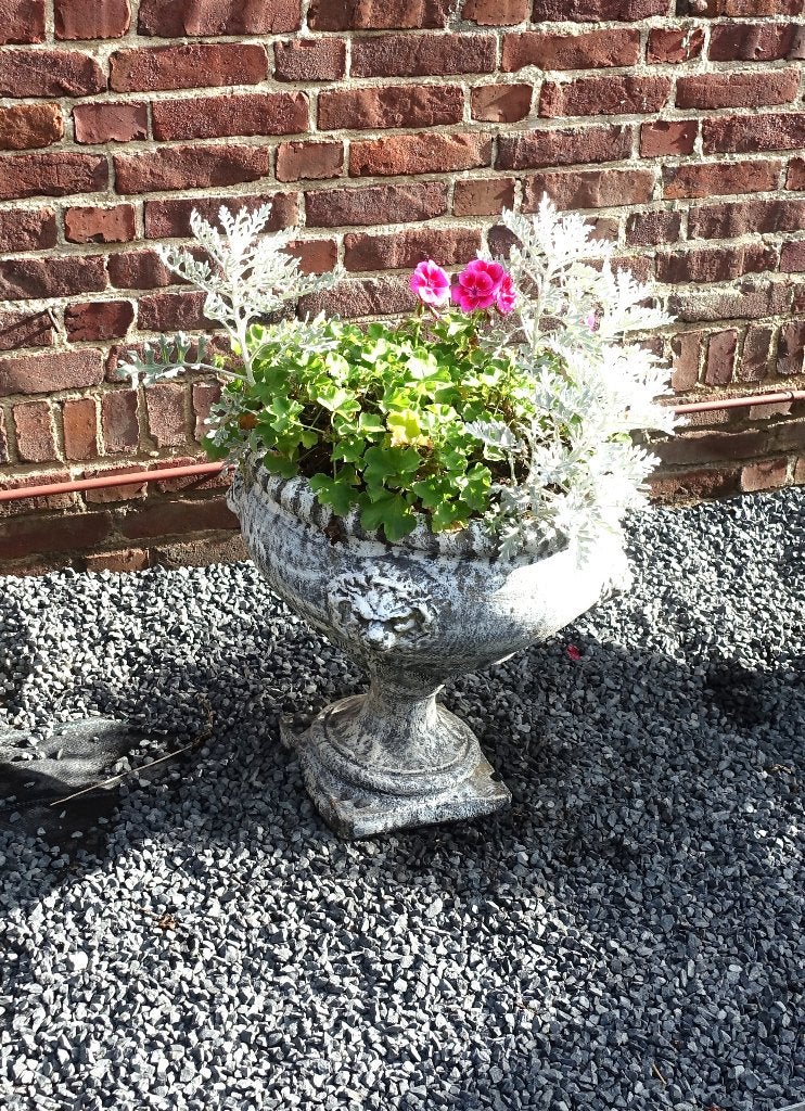betonnen bloempot nr. 1/ gegoten beton - weg=weg prijs, Ophalen, Gebruikt, 40 cm of meer, Rond