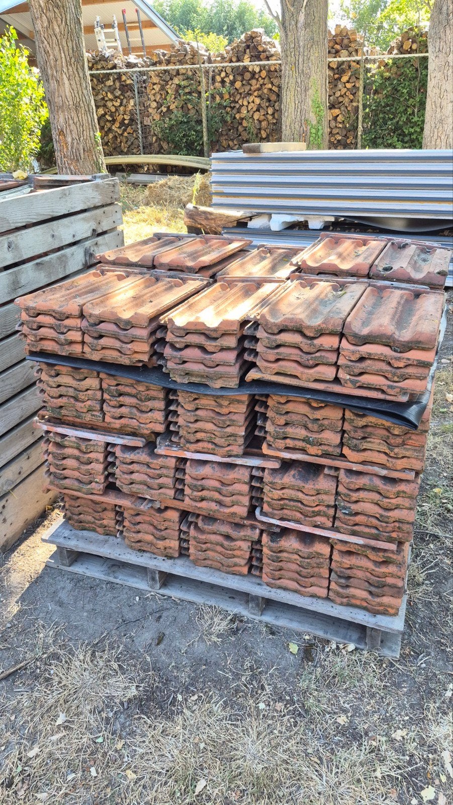 Ca. 800 gebruikte dakpannen, 60 m2, rood Bod gevraagd, Ophalen, Gebruikt, Steen of Klei, Onbekend