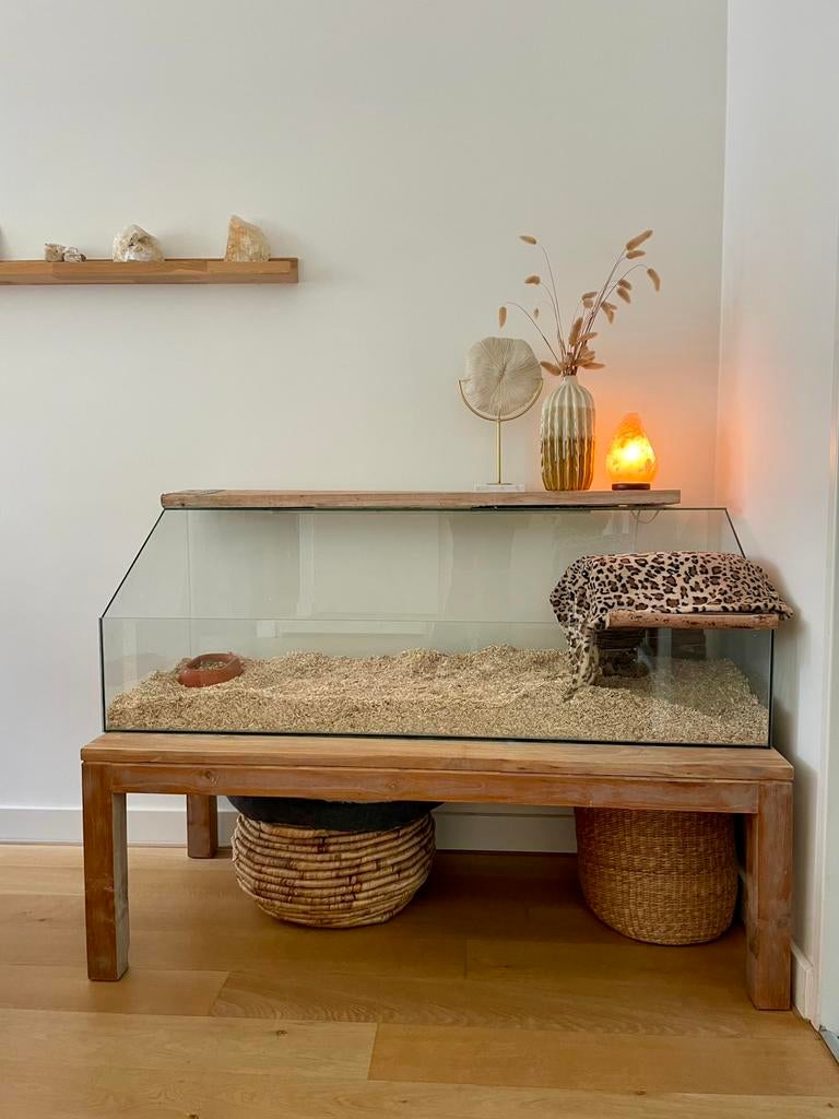 Luxe glazen cavia verblijf, hamster scaping, Dieren en Toebehoren, Ophalen, 110 cm of meer, 60 tot 90 cm, Zo goed als nieuw
