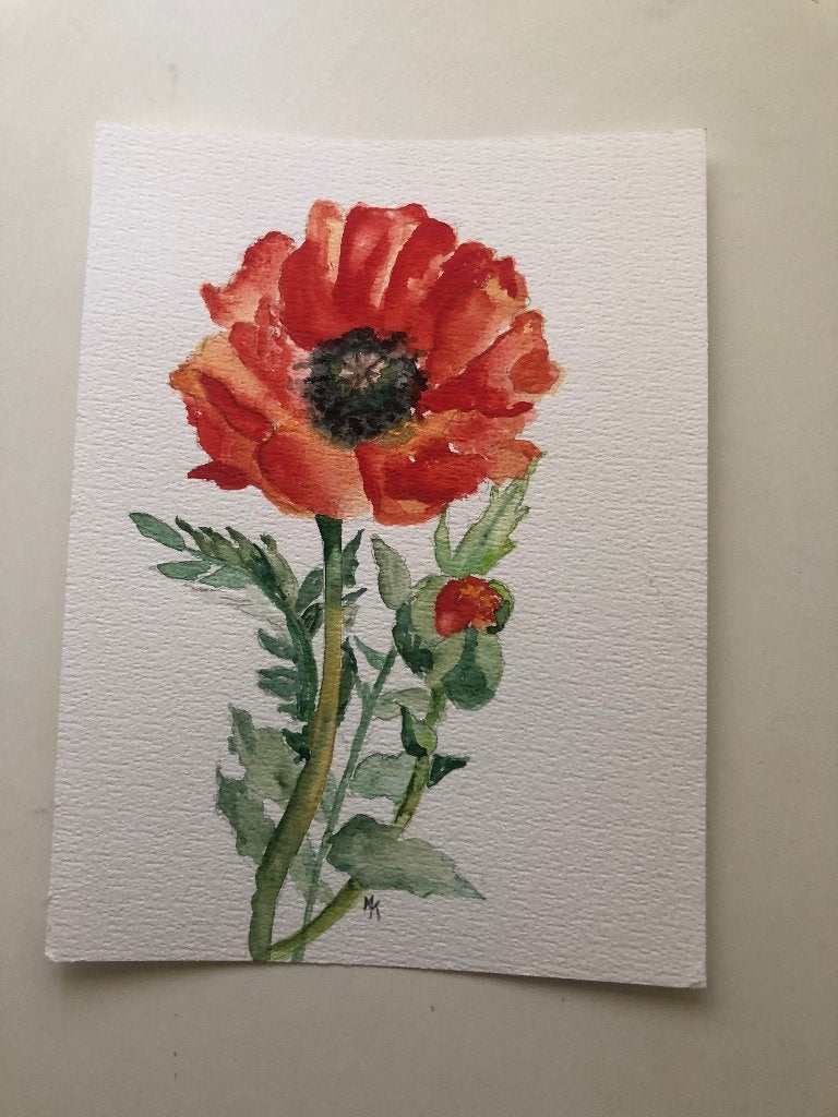 Nieuw aquarel van klaprozen op papier, Ophalen of Verzenden, Nieuw, Waterverf