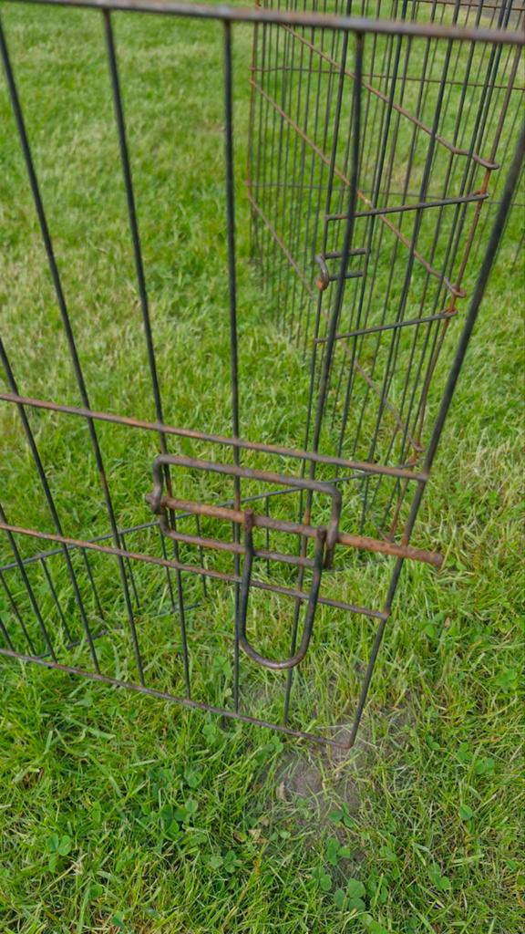 Cavia konijnen ren, Dieren en Toebehoren, Knaagdieren en Konijnen | Hokken en Kooien, 110 cm of meer, Ren, Cavia, Ophalen