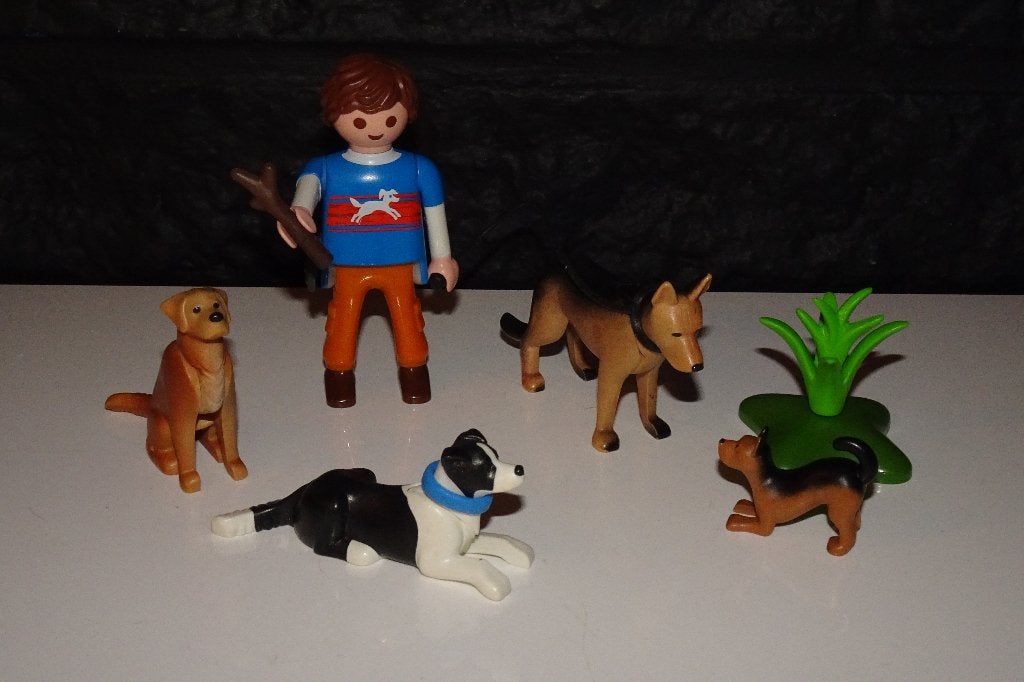 10 - Honden begeleider 9279, Ophalen of Verzenden