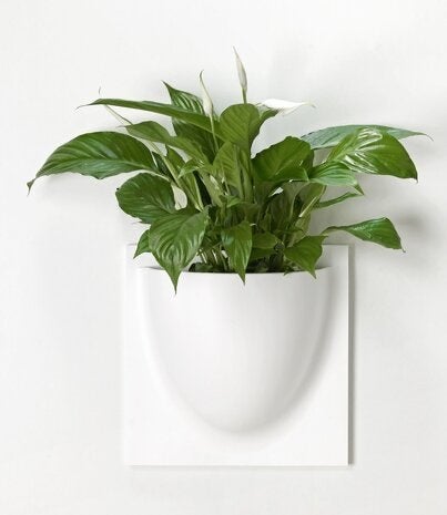 Verti Copenhagen VertiPlants BIO Wandpot 30x30cm Wit, Kunststof, Vierkant, Binnen, Zo goed als nieuw