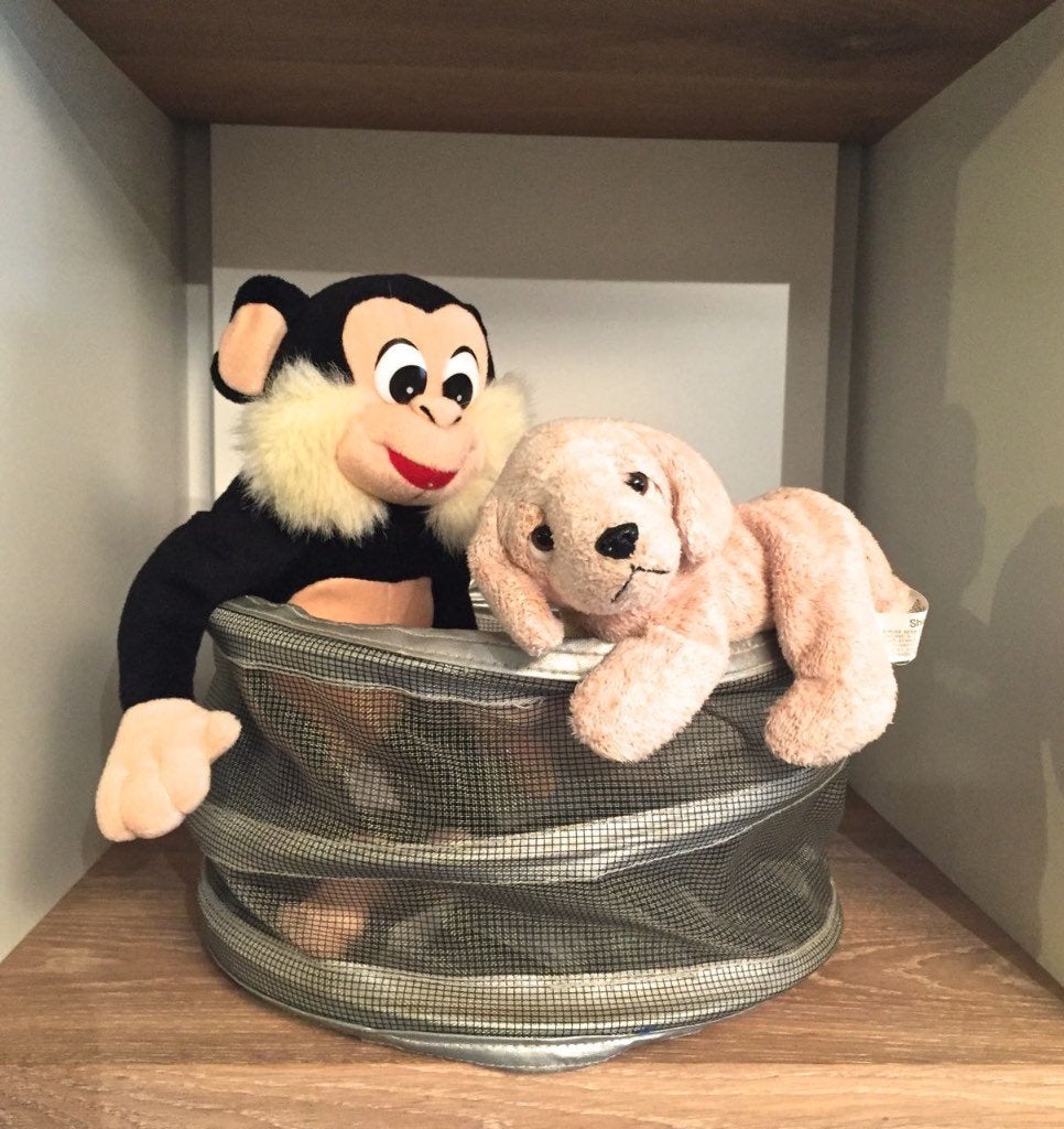 Nieuwe knuffels: dolfijn; vrolijke aap; bruine beer; egel..., Kinderen en Baby's, Speelgoed | Knuffels en Pluche, Overige karakters