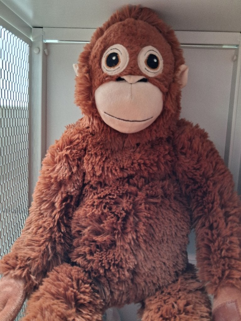 Ikea aap, Ophalen of Verzenden, Overige typen