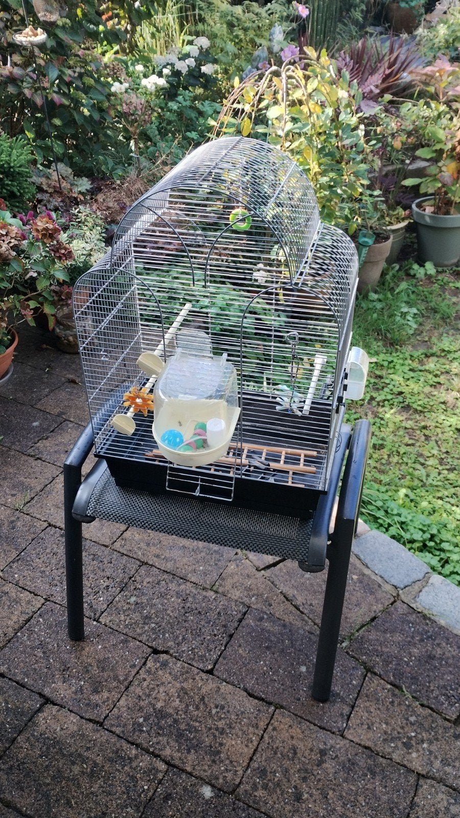 Ruime vogelkooi te koop., Ophalen, Metaal, Vogelkooi