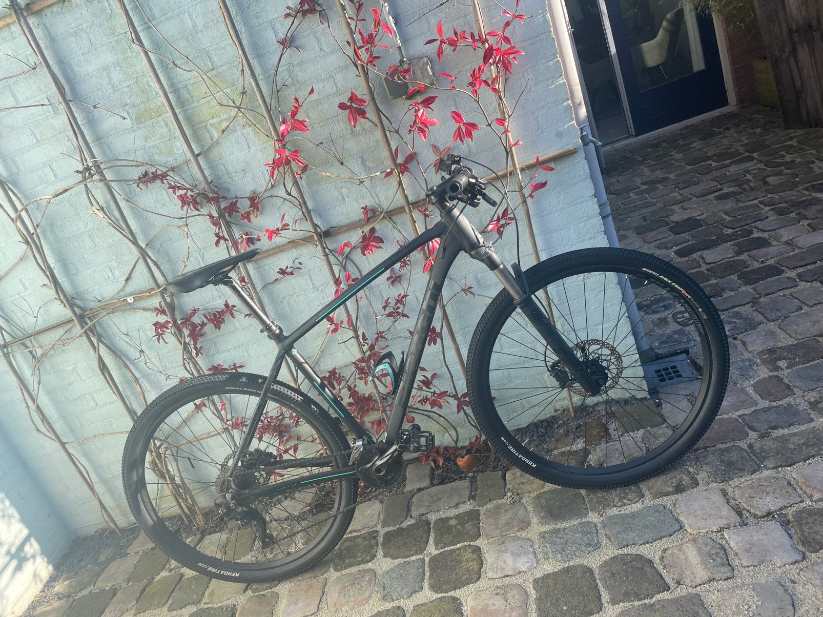 Bianchi Jab 29.2 mountainbike, 47 tot 51 cm, Ophalen