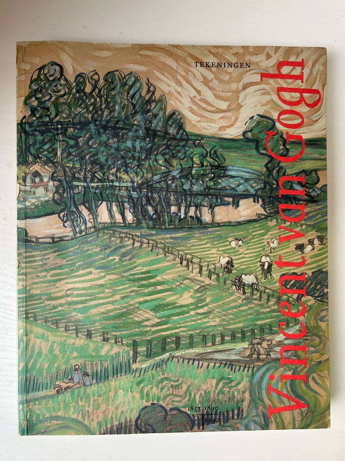 Tekeningen Vincent van Gogh, Ophalen of Verzenden, Gelezen