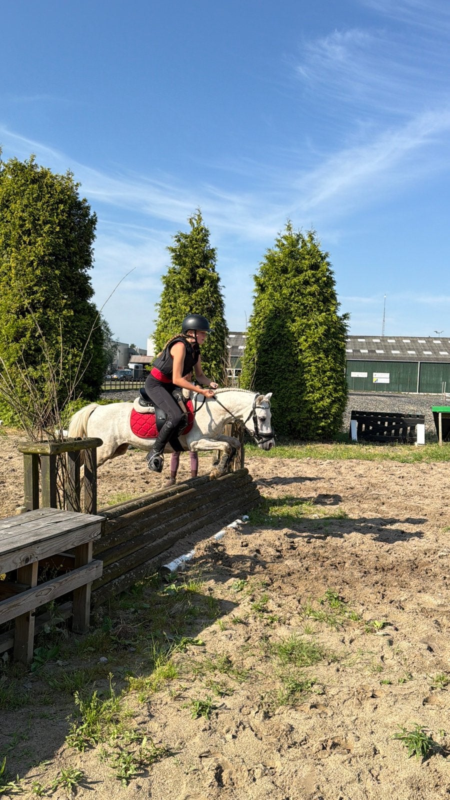 Welsh ruin , bixie proof !, Dieren en Toebehoren, Pony's, Merrie, 3 tot 6 jaar, B pony (1.17m tot 1.27m), Recreatiepony