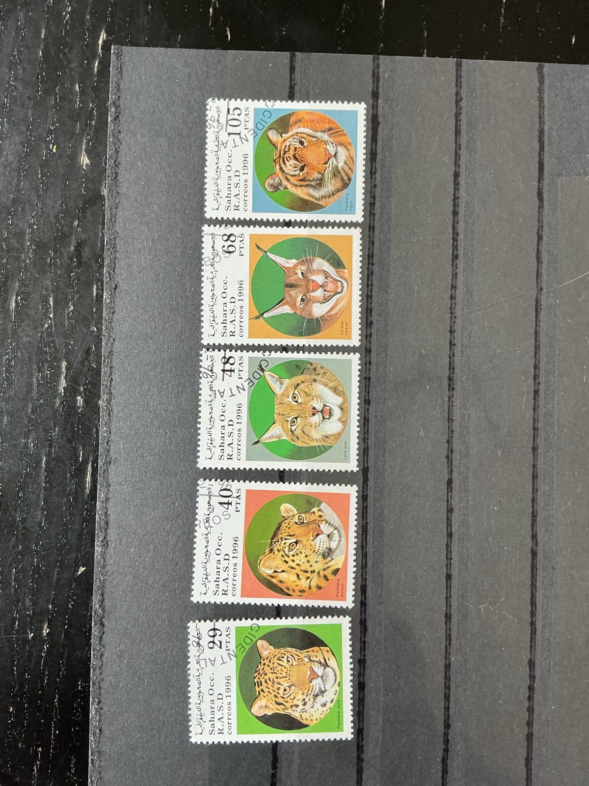 Sahara Occ. R.A.S.D. 1996 postzegels met wilde katten, Ophalen of Verzenden, Postfris