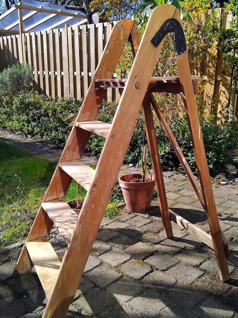 een houten schilderstrap of decoratieve huishoudtrap, Doe-het-zelf en Verbouw, Ladders en Trappen, Ophalen, Gebruikt, Trap, Opvouwbaar of Inschuifbaar
