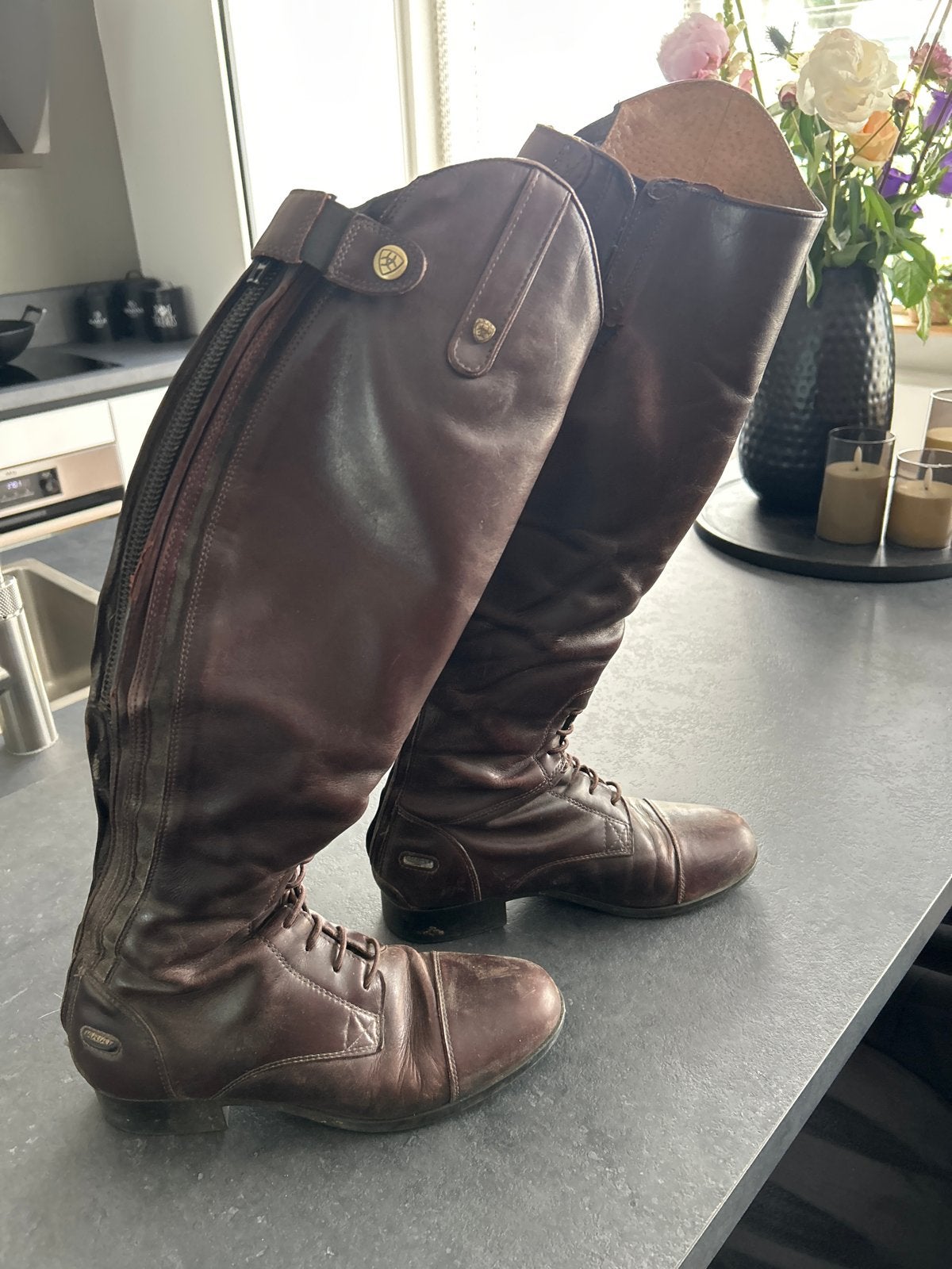 Te koop, Ophalen, Gebruikt, Dressuur