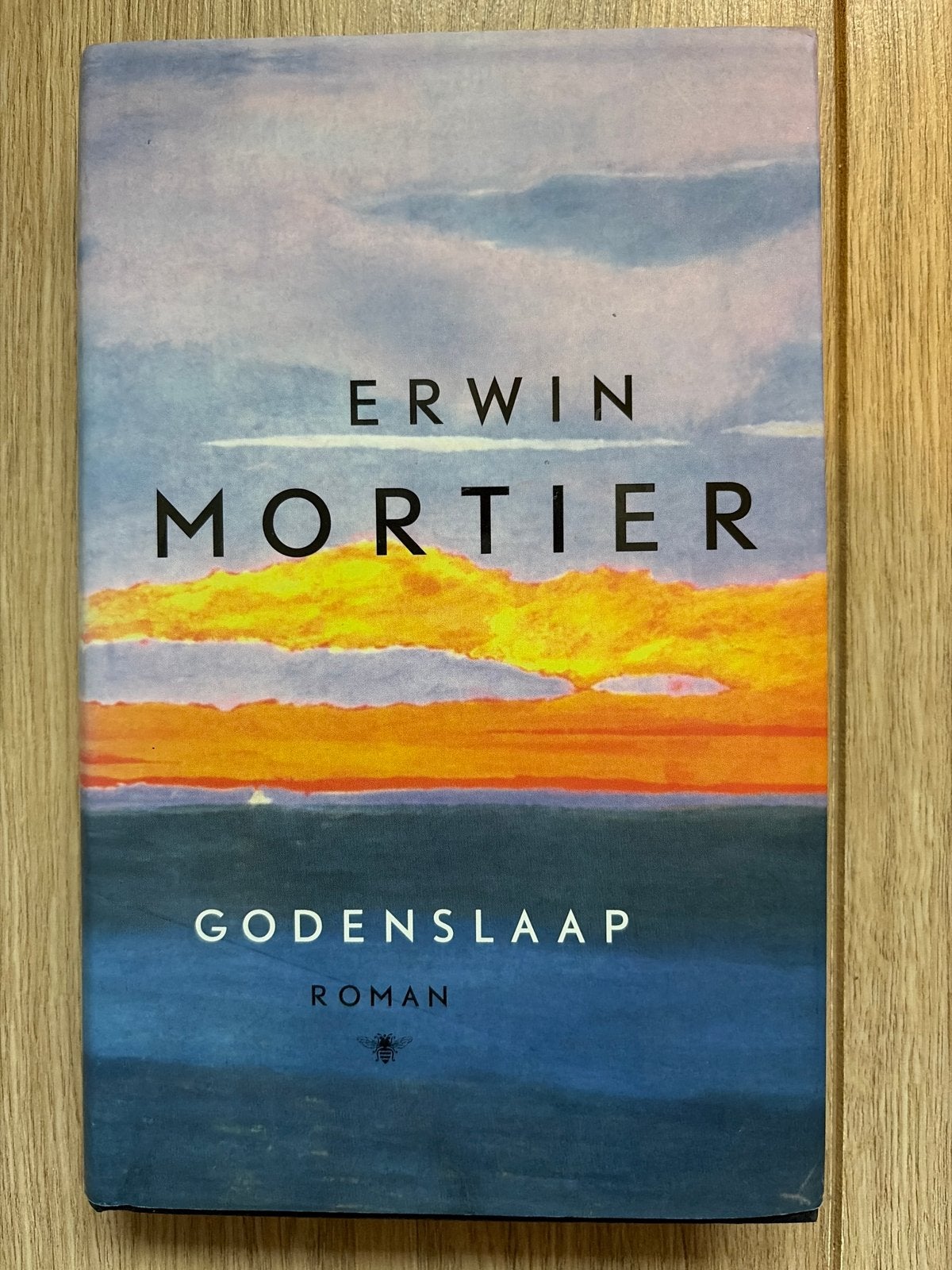 Erwin Mortier - Godenslaap, Ophalen of Verzenden, Zo goed als nieuw, Erwin Mortier