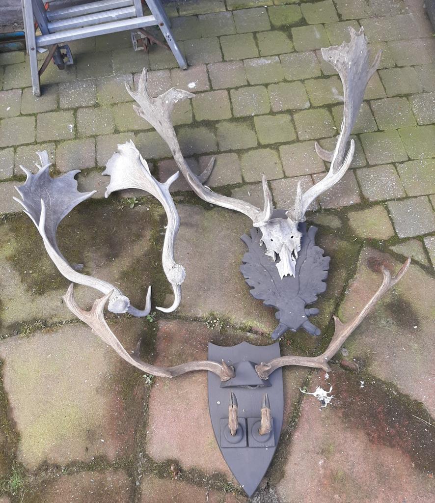 3x oude herten gewei, Antiek en Kunst, Ophalen