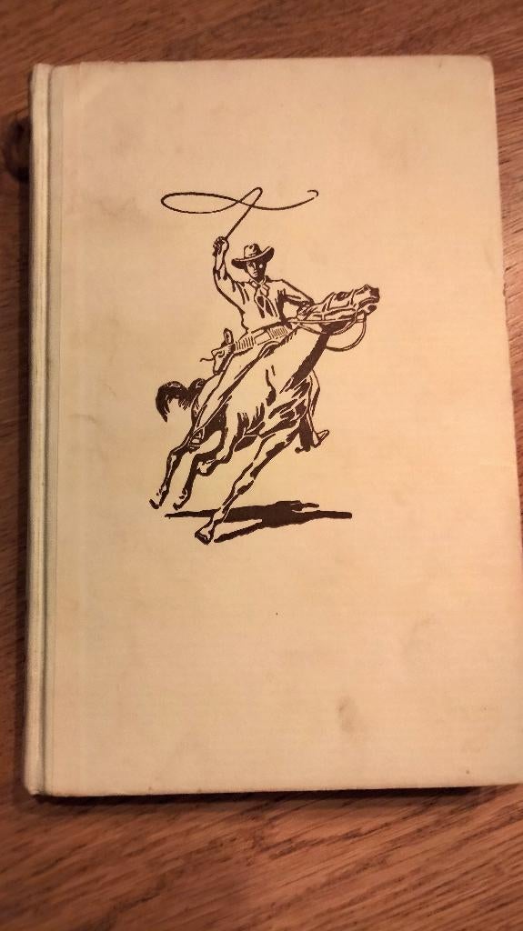 Arendsoog, Boeken, Ophalen of Verzenden, Gelezen, J. Nowee