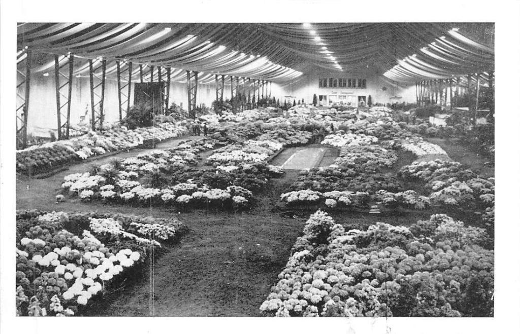 381-237-009 Floralies Gantoises, Verzenden, Voor 1920, Overig Europa