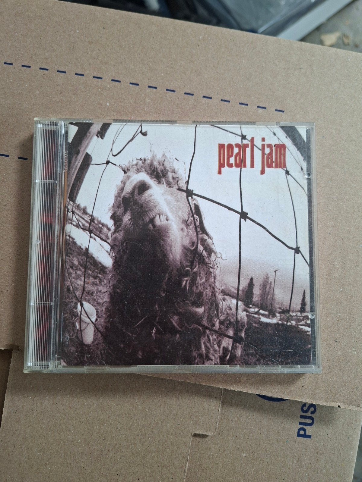 Pearl Jam - Pearl Jam (CD), Ophalen of Verzenden, Gebruikt, Rock, Album