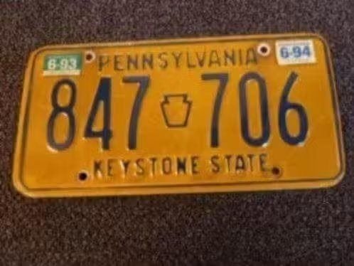 Kentekenplaat Licenseplate Pennsylvania 93-94 USA, Verzenden, Gebruikt, Auto's