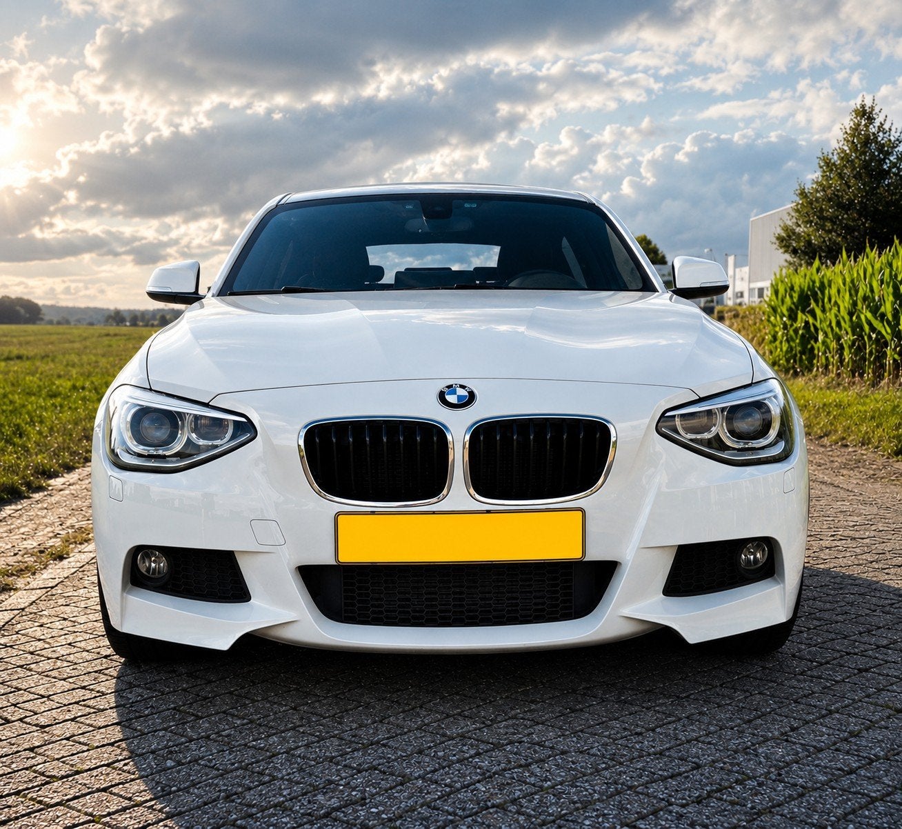 BMW 1-Serie 116I 100KW 5DR 2014 Wit, Auto's, BMW, Particulier, 1-Serie, ABS, Airbags, Airconditioning, Alarm, Android Auto, Apple Carplay