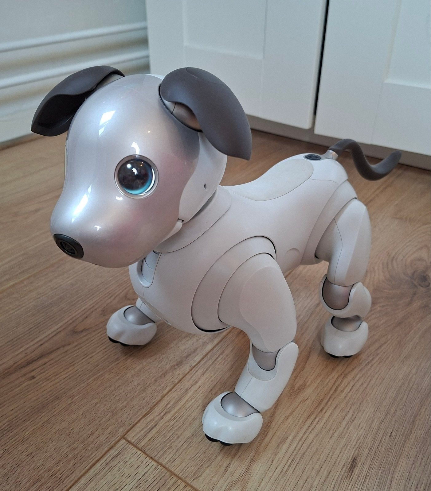 Sony Aibo ERS-1000 Companion Robot, Computers en Software, Ophalen, Gebruikt