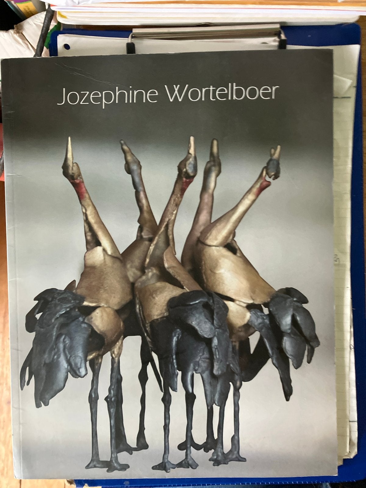 Jozefine Wortelboer - Kunstboek met sculpturen, Ophalen of Verzenden, Zo goed als nieuw, Overige onderwerpen