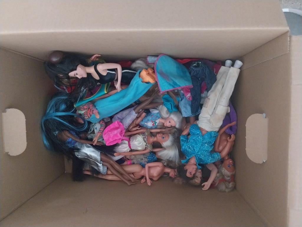 Barbies, meubels,paarden en veel extra.doe een leuk bod, Ophalen, Gebruikt, Barbie