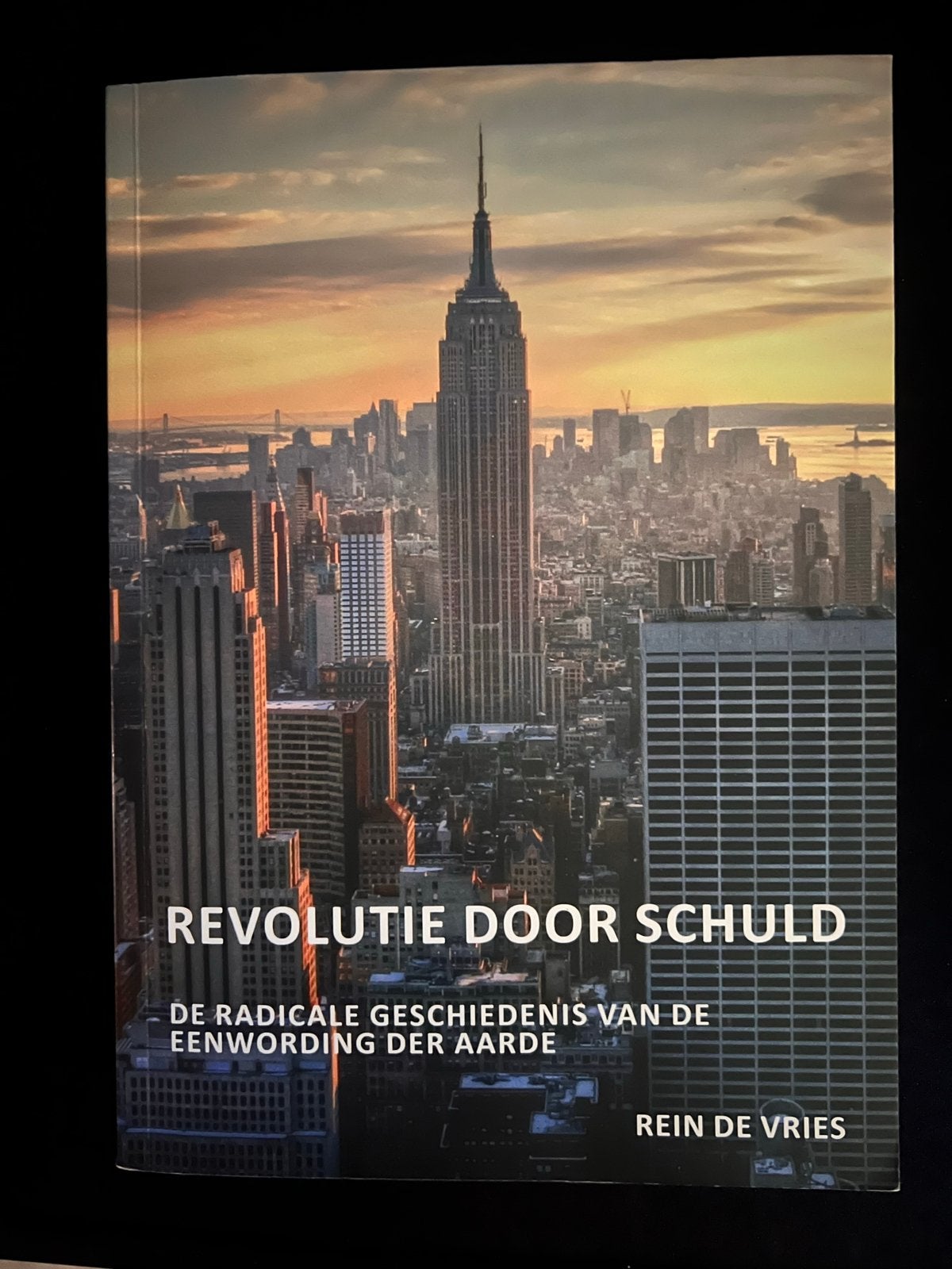 Revolutie door Schuld - Rein de Vries, Ophalen of Verzenden, 20e eeuw of later, Zo goed als nieuw, Overige gebieden