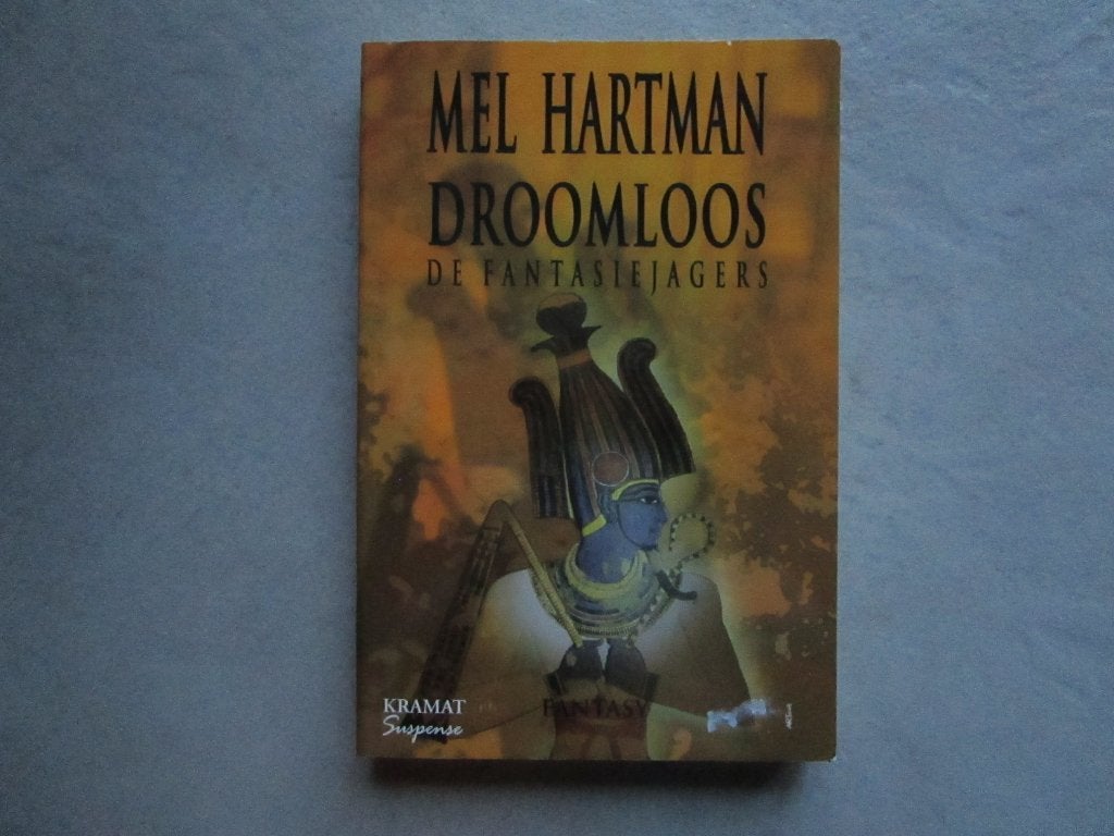 MEL HARTMAN --> Droomloos : De fantasiejagers, Boeken, Fantasy, Zo goed als nieuw, Ophalen of Verzenden