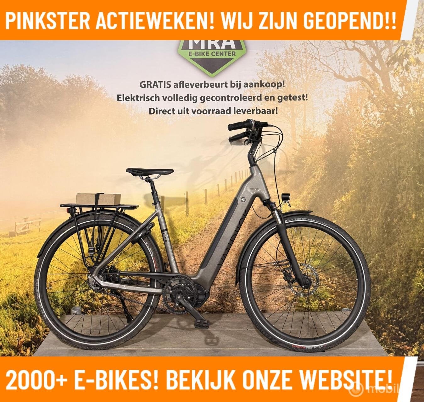 Van Dijck Juno Elektrische fiets met Kreutzer U5 motor ebike, 55 tot 59 cm, Overige merken