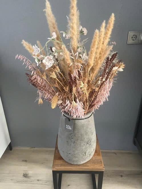 Droogbloemen met STILL vaas, Ophalen, Overige kleuren, Minder dan 50 cm, Glas