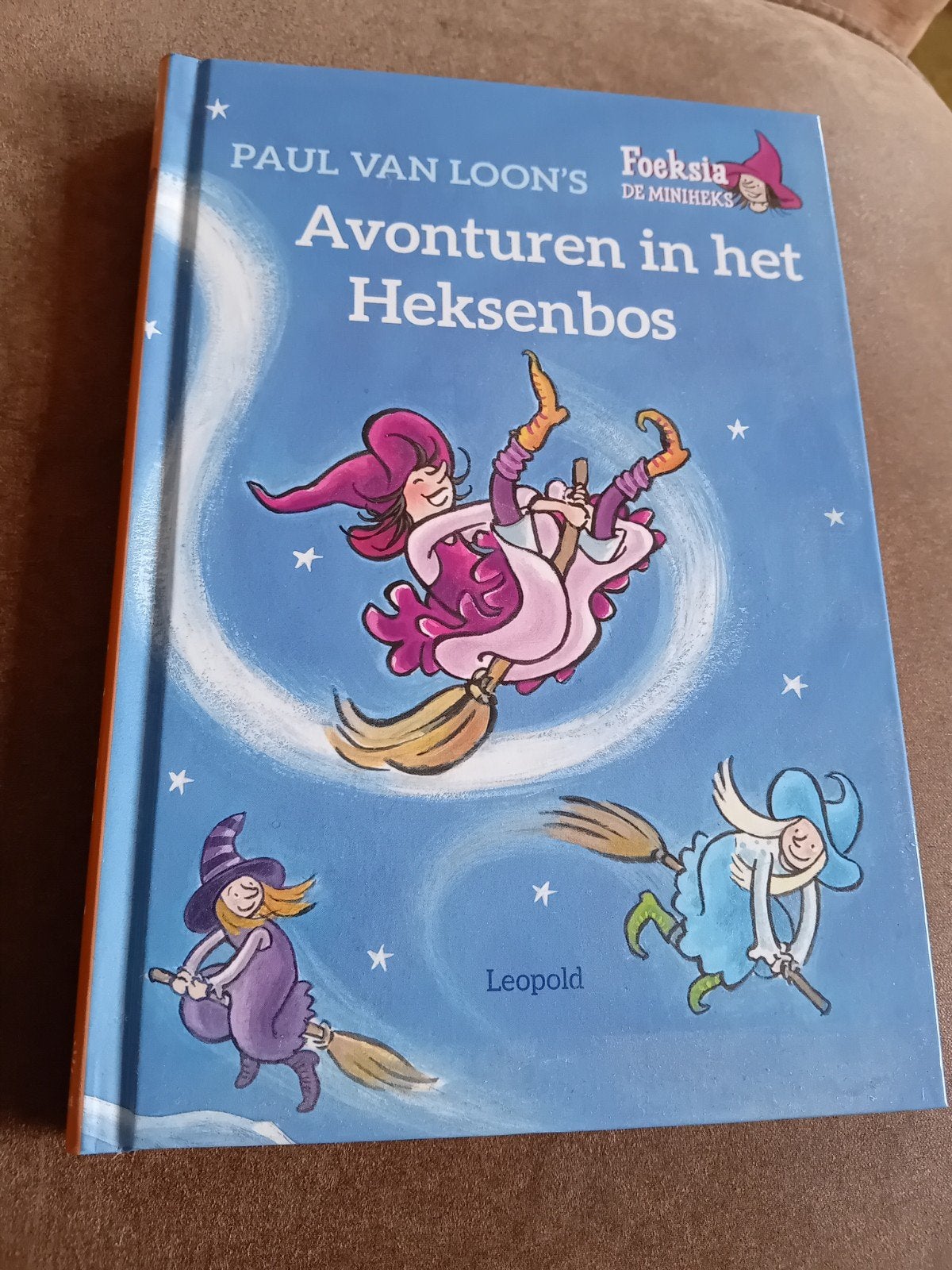 Kinderboek van Paul van Loon, Ophalen of Verzenden, Zo goed als nieuw, Paul van Loon, Fictie