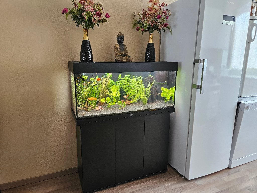 Juwel aquarium compleet, Ophalen, Gebruikt, Inclusief vissen, Gevuld zoetwateraquarium