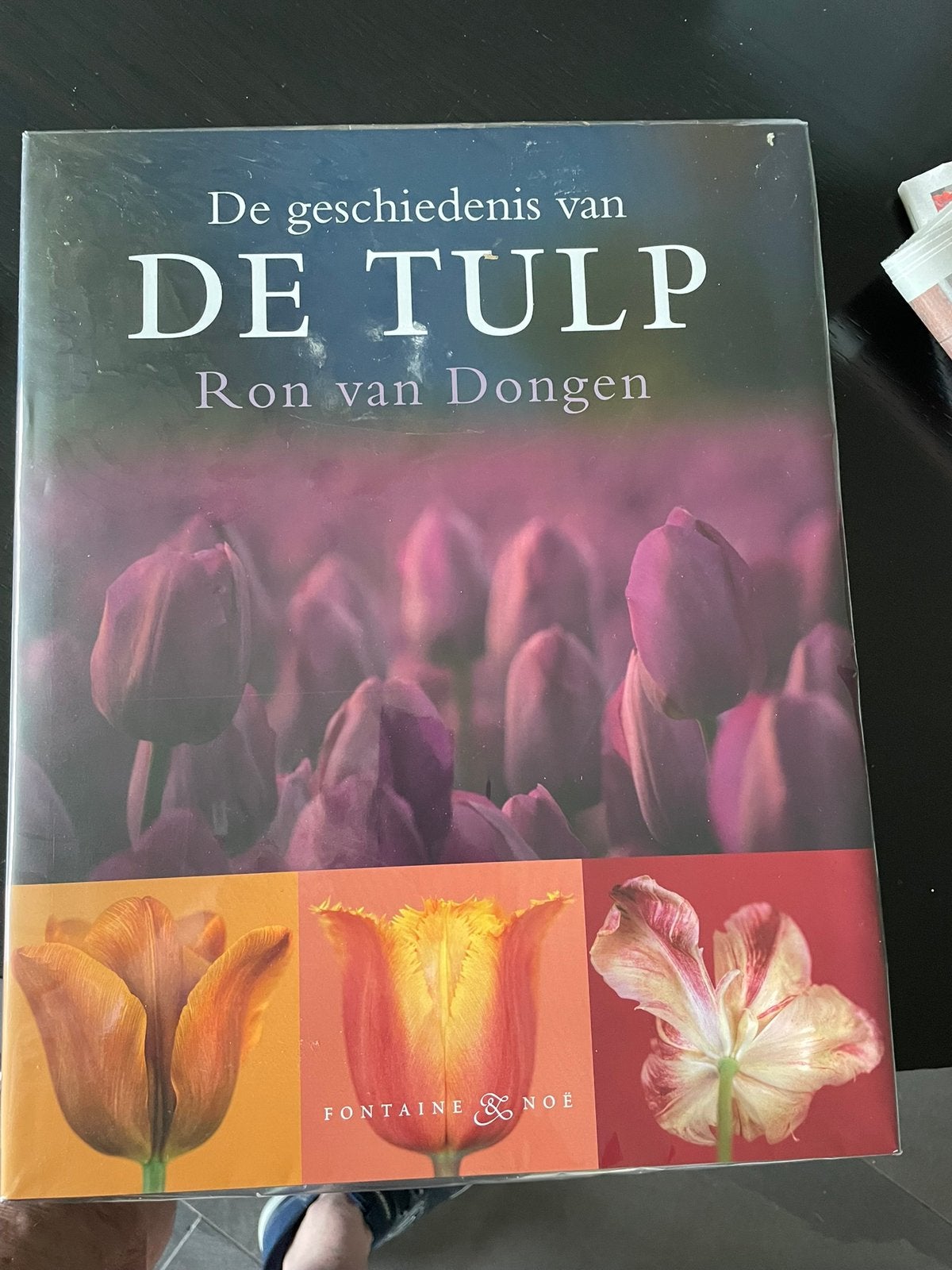 R. van Dongen - De Tulp, Ophalen of Verzenden, Nieuw, R. van Dongen