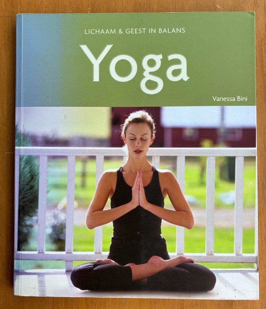 Lichaam & geest in balans: Yoga - Vanessa Bini, Boeken, Ophalen of Verzenden, Gelezen, Meditatie of Yoga, Instructieboek
