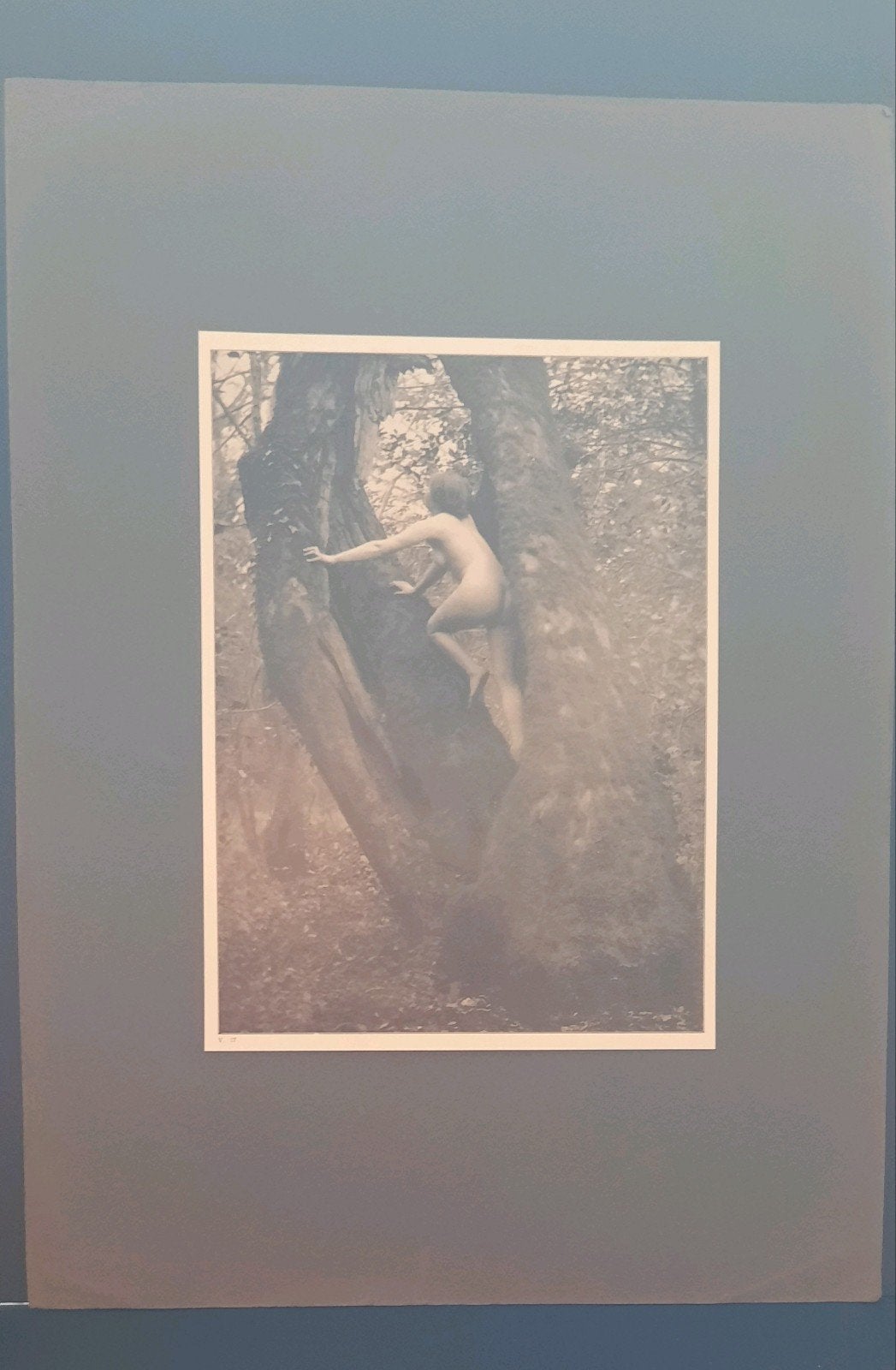 Eva im Paradies. Weibliche Freilicht-Akte Wilhelm Hümmer, Ophalen of Verzenden, Voor 1940